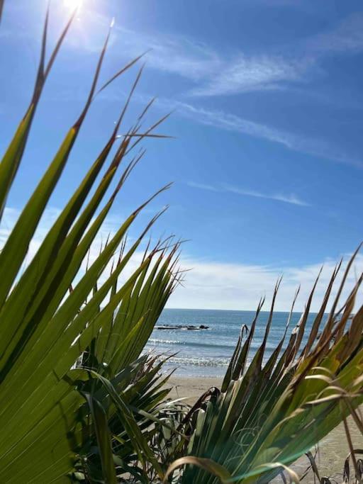 Vacanze Romane Apartment Anzio Eksteriør billede